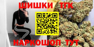 Альфа ПВП Малгобек