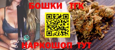 Альфа ПВП Малгобек