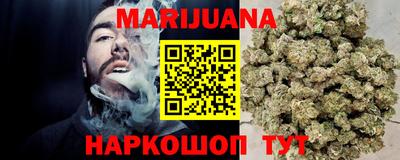 Альфа ПВП Малгобек