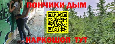 Альфа ПВП Малгобек