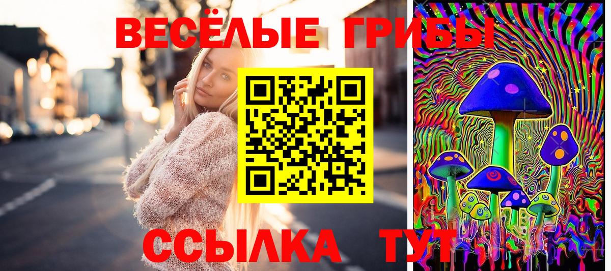 Псилоцибиновые грибы прущие грибы  Вход с VPN  Феодосия 