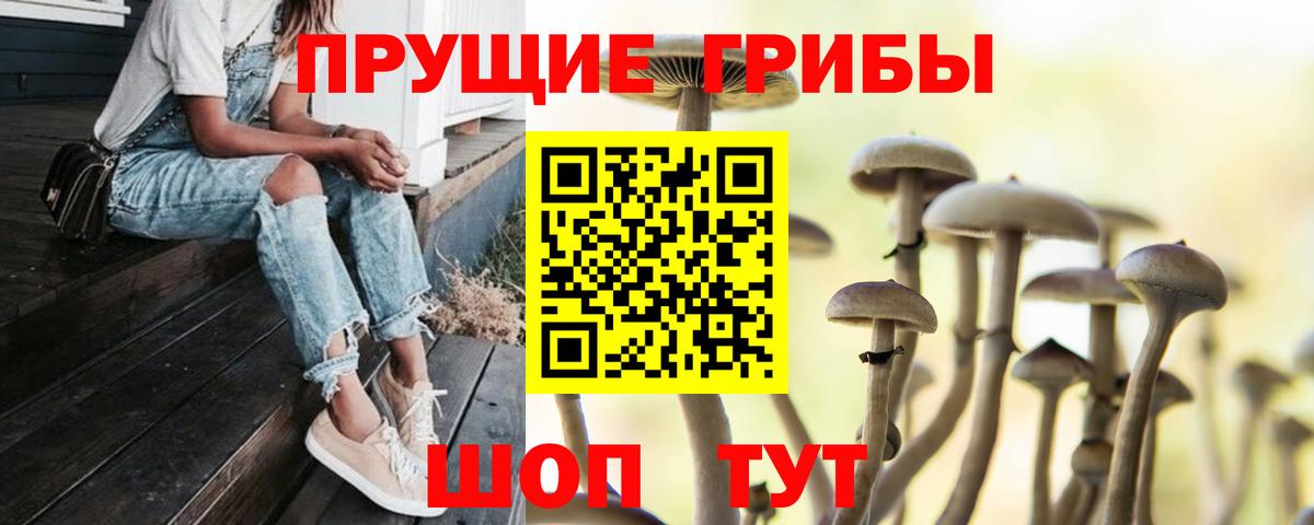 Псилоцибиновые грибы GOLDEN TEACHER Феодосия